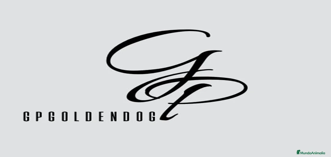 Imagen de galería {{count}}