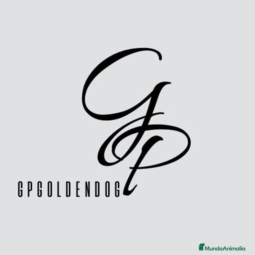 Imagen de galería {{count}}