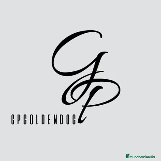 Imagen de galería {{count}}