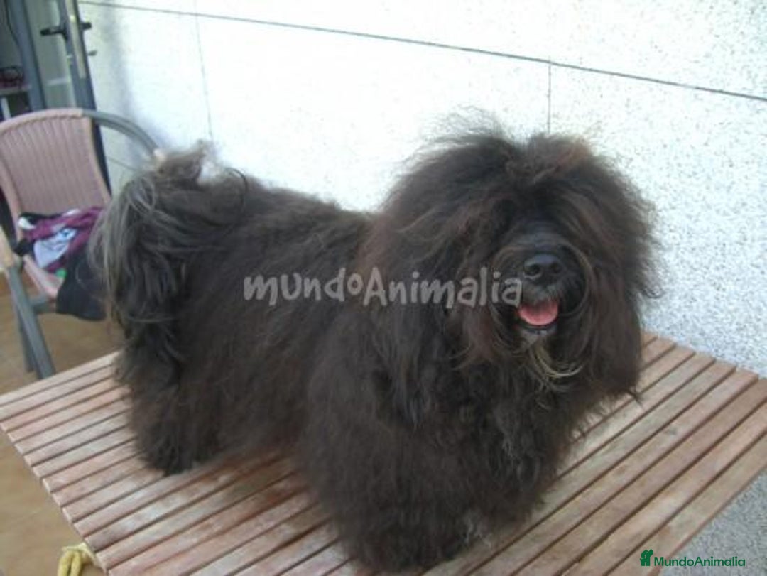 Imagen de galería {{count}}