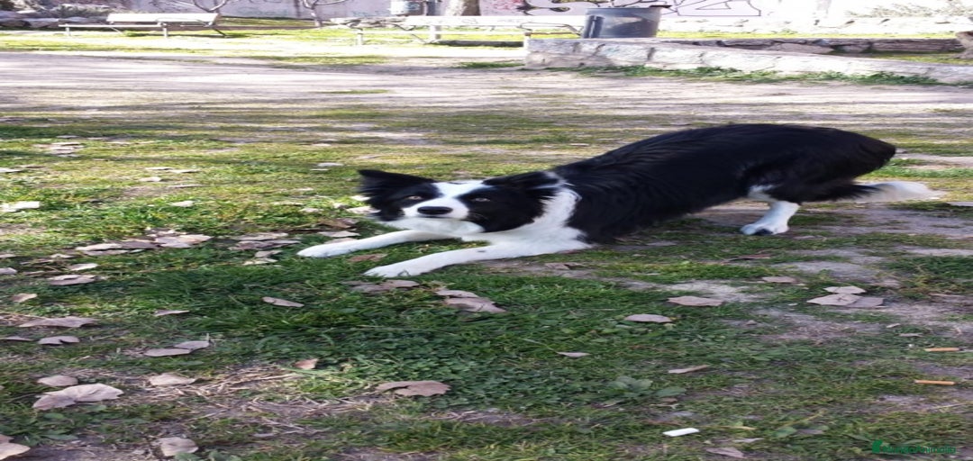 Imagen de galería {{count}}