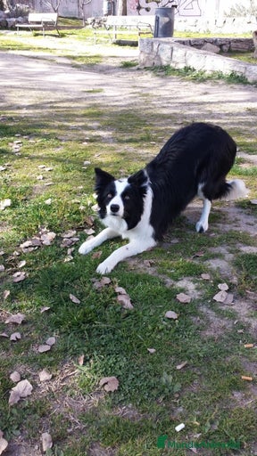 Imagen de galería {{count}}