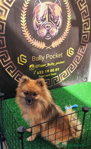 Imagen de galería {{count}}