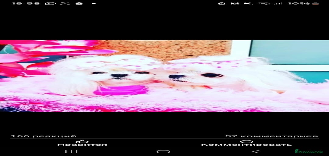 Imagen de galería {{count}}