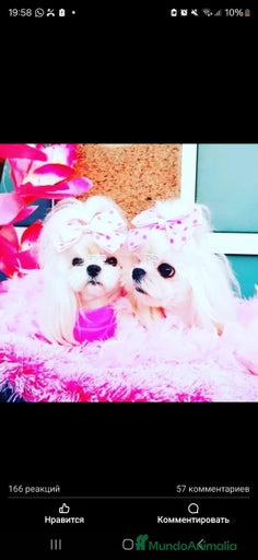 Imagen de galería {{count}}