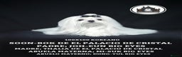 Bichón Maltés perros en venta: BICHÓN MALTÉS LÍNEA COREANA 100% - Anuncio 1
