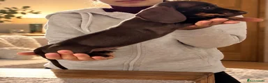 Fuet