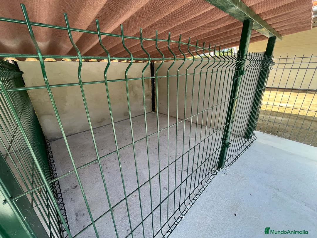 Imagen de galería {{count}}