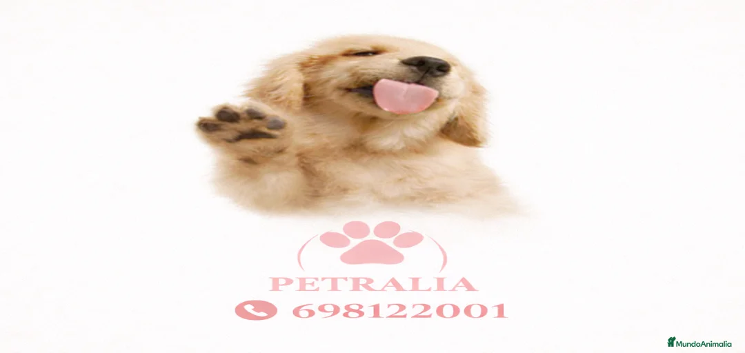 Imagen de galería {{count}}