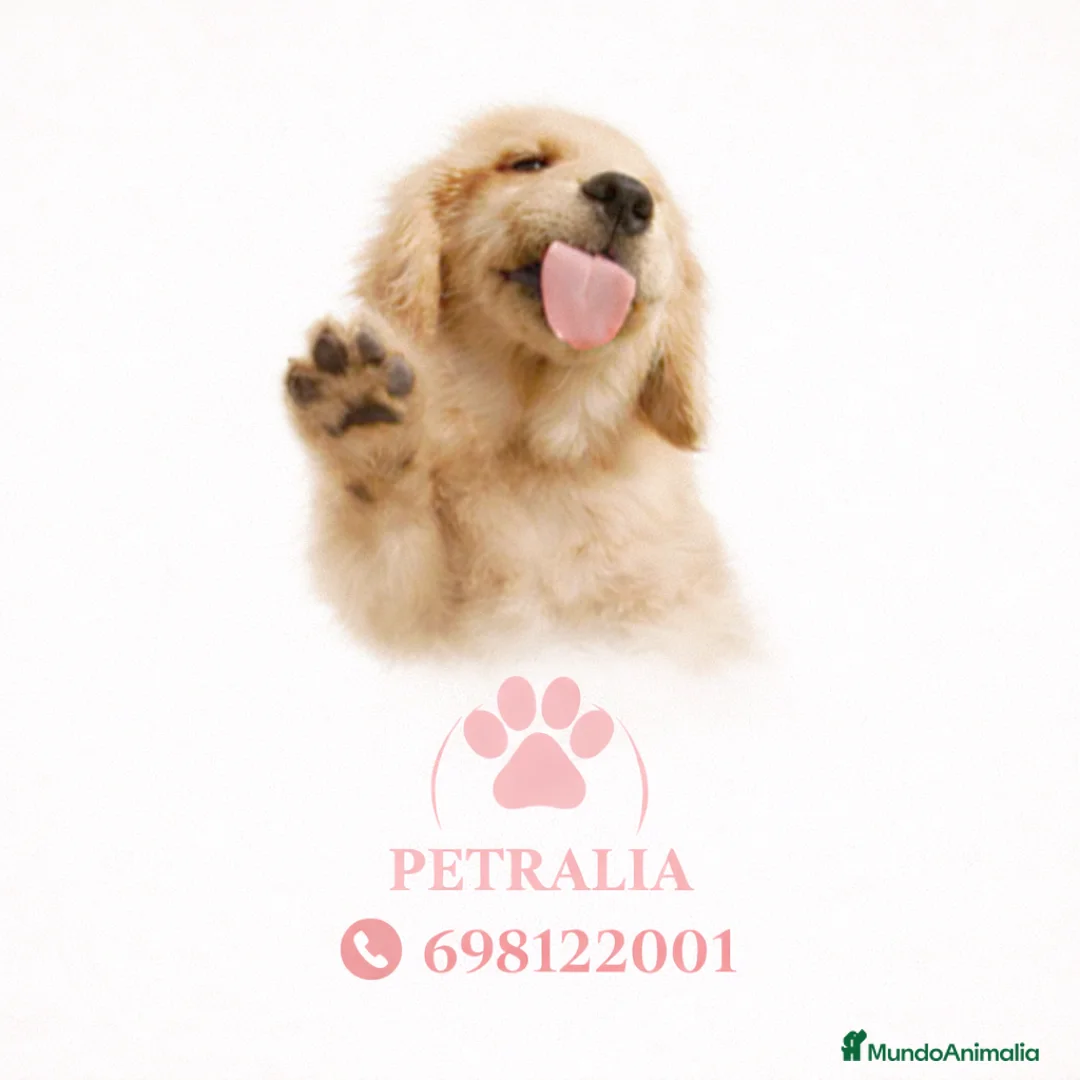 Imagen de galería {{count}}