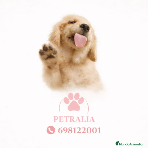 Imagen de galería {{count}}