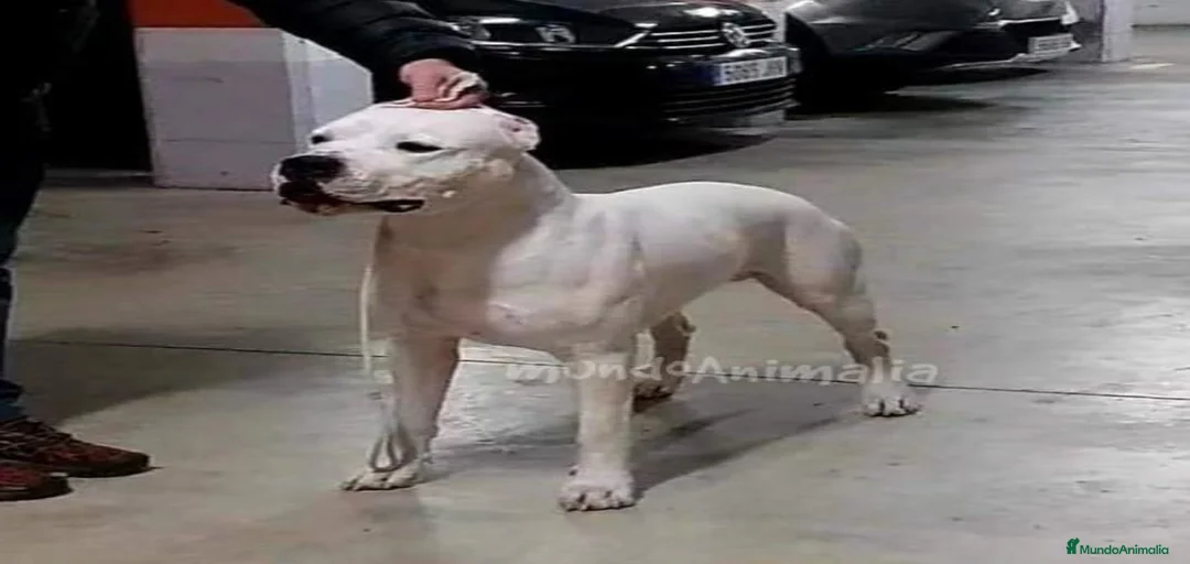 Imagen de galería {{count}}