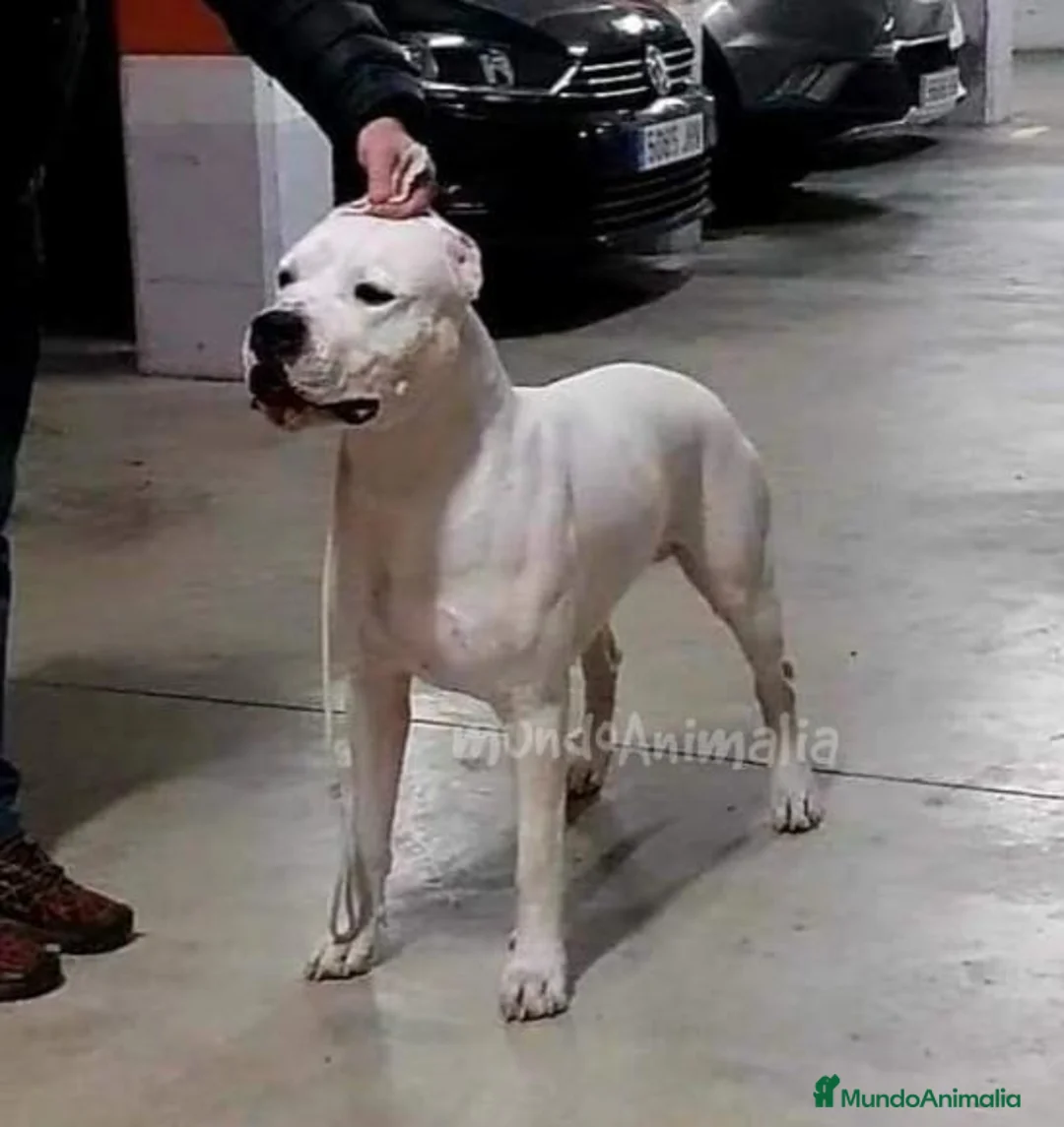 Imagen de galería {{count}}