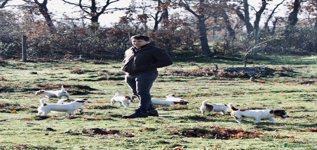 Imagen de galería {{count}}