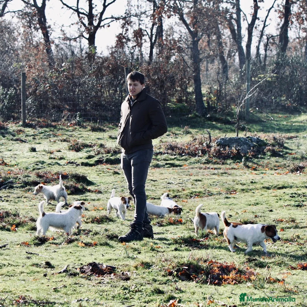 Imagen de galería {{count}}