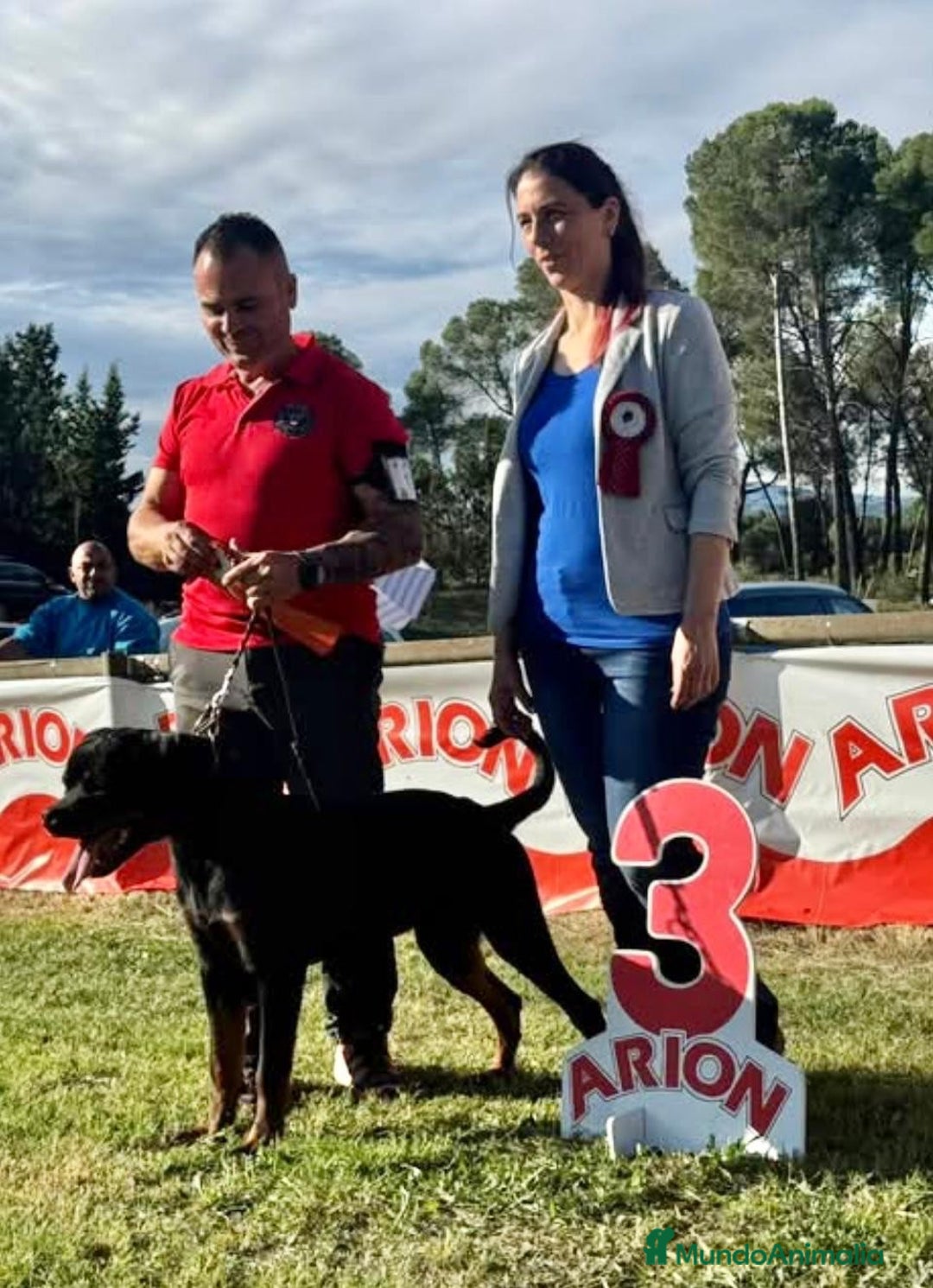 Rottweiler perros en venta: ROTTWEILER DE 8 MESES DISPONIBLE  - Imagen 2