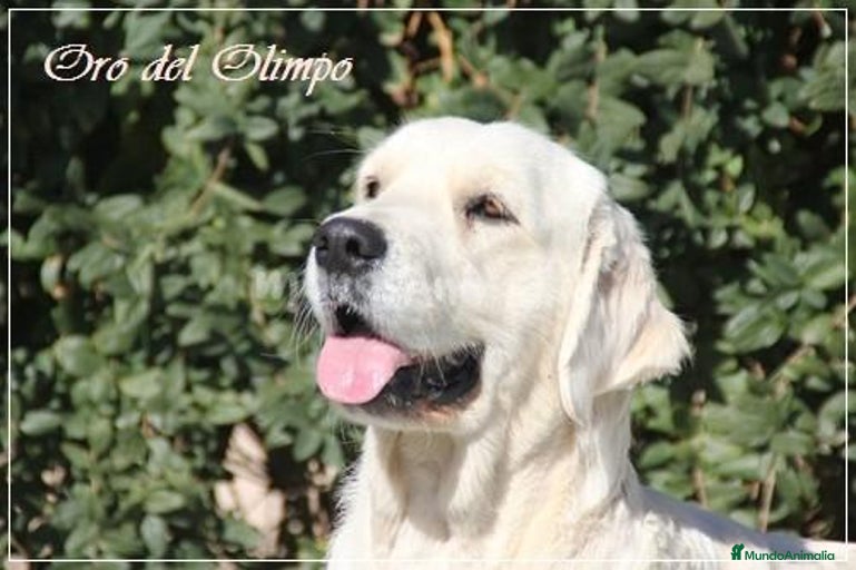 Imagen de galería {{count}}