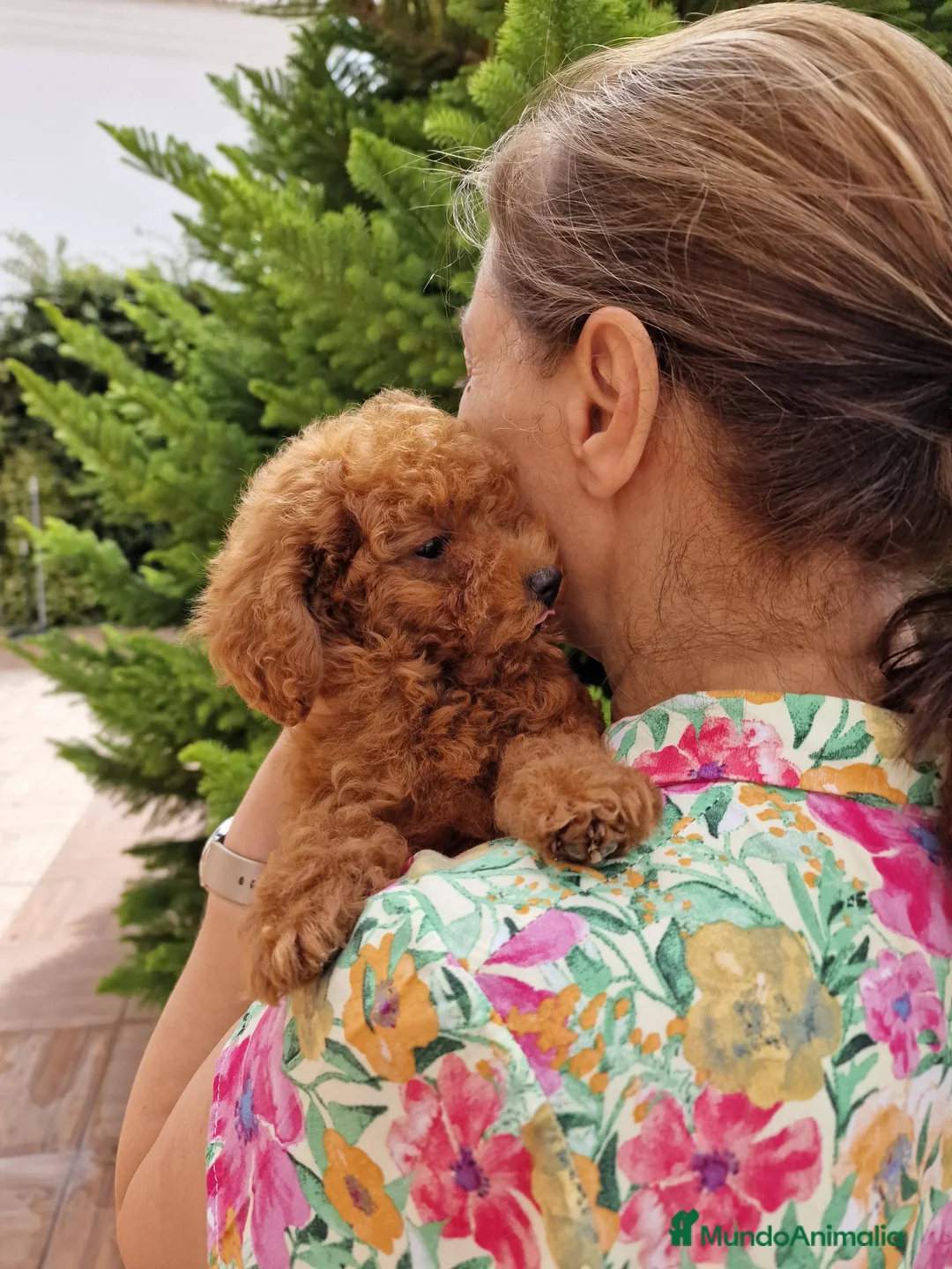 Imagen de galería {{count}}