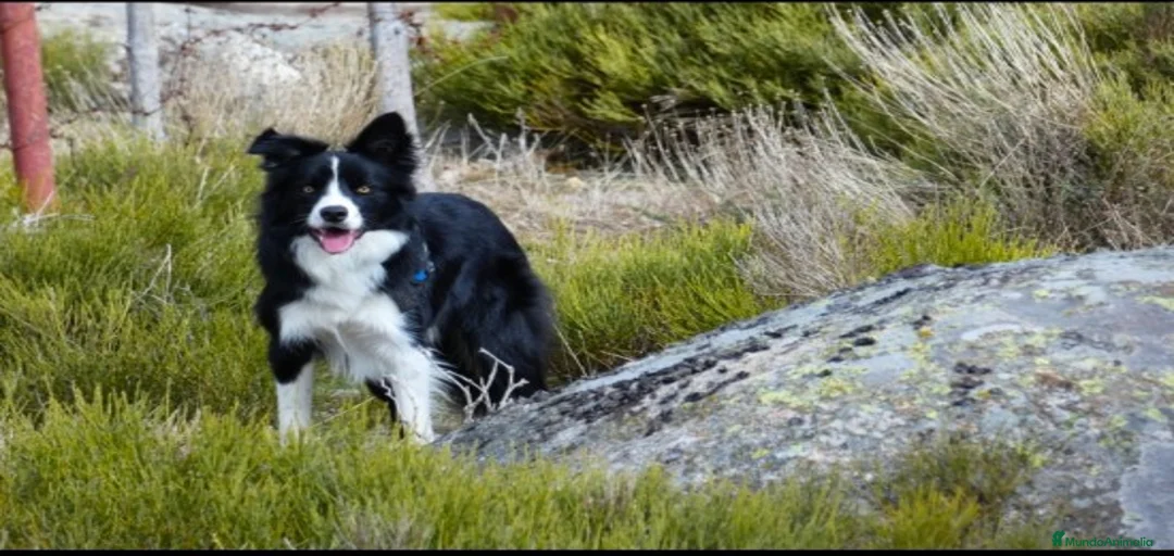 Imagen de galería {{count}}