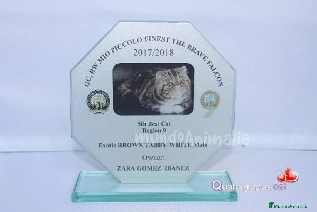 Imagen de galería {{count}}