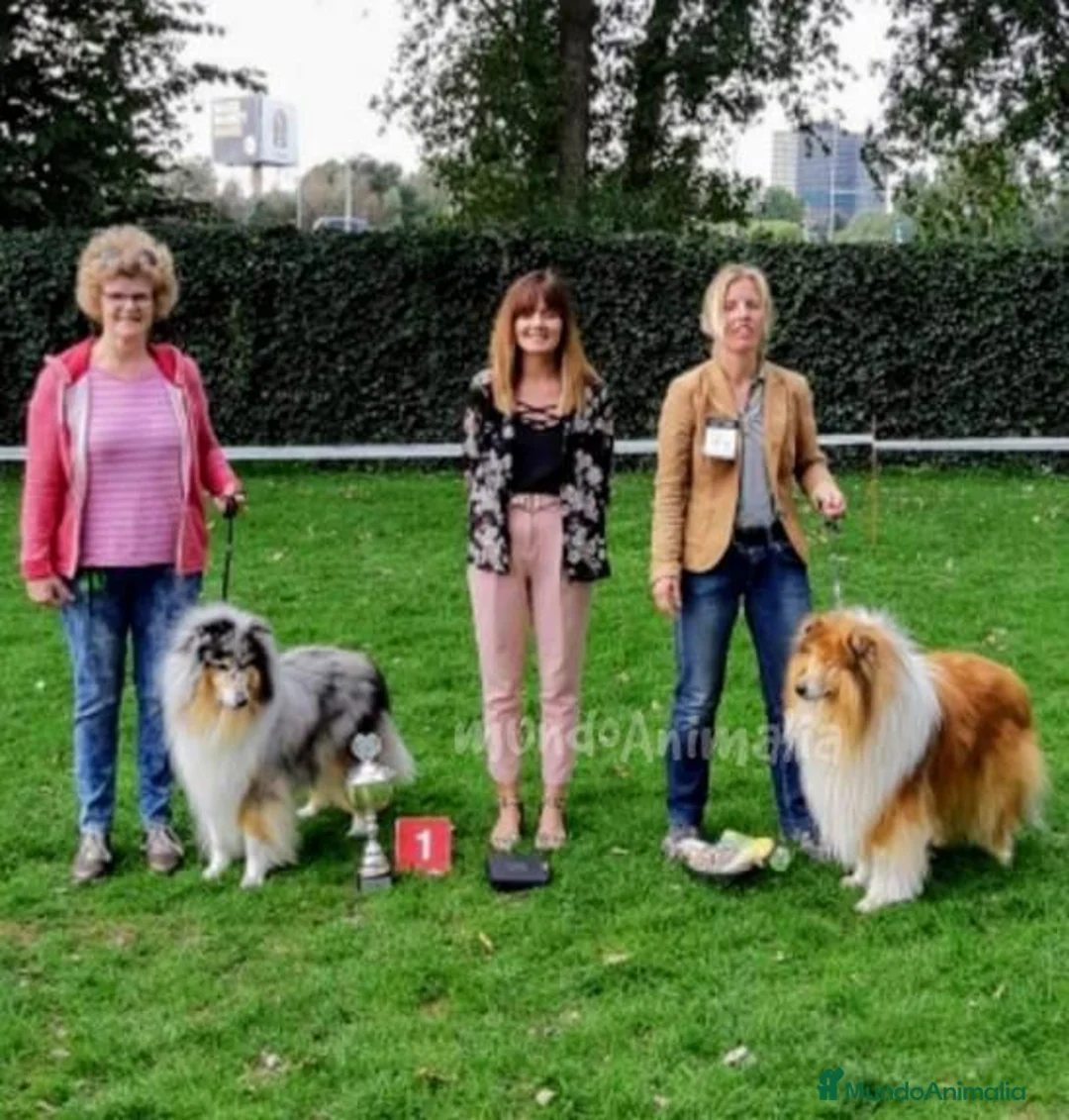 Imagen de galería {{count}}