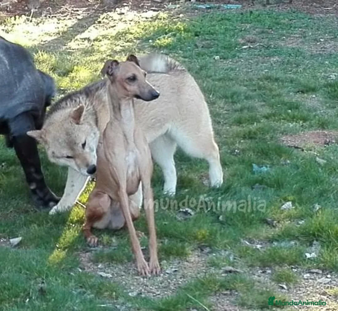 Imagen de galería {{count}}