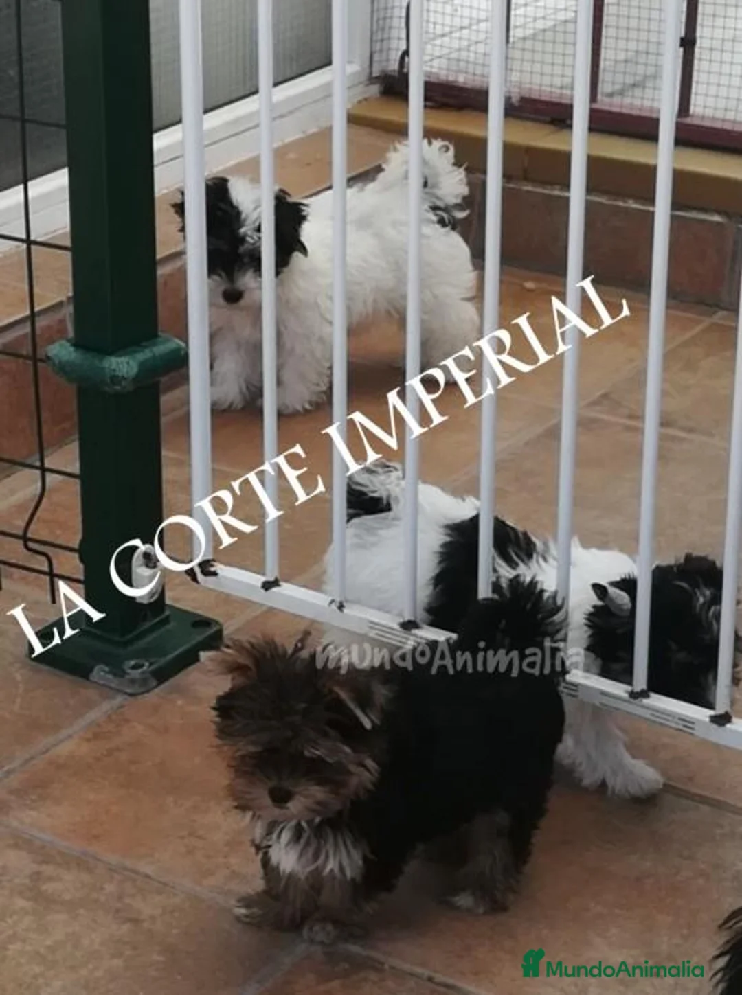 Imagen de galería {{count}}