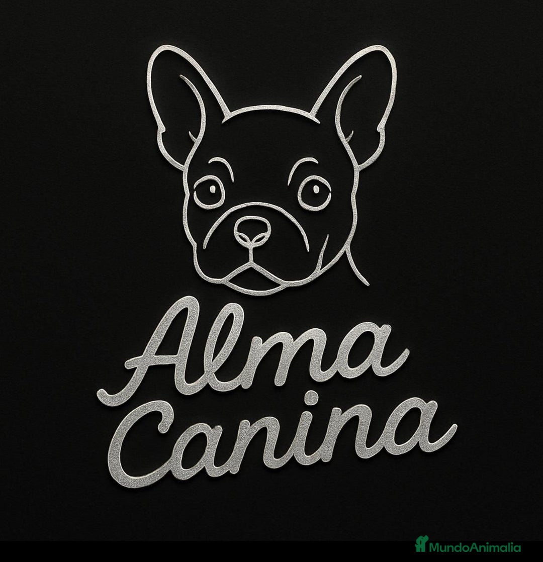 Imagen de galería {{count}}