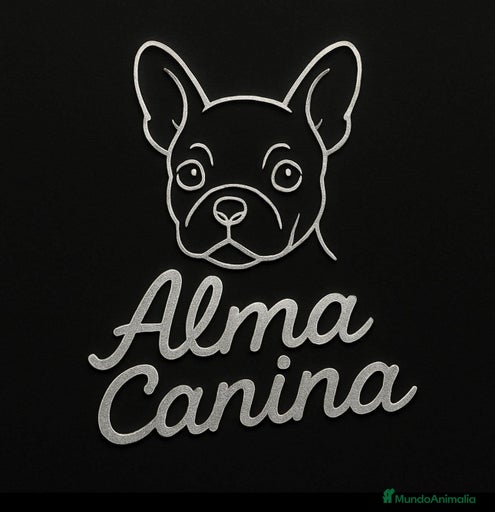 Imagen de galería {{count}}