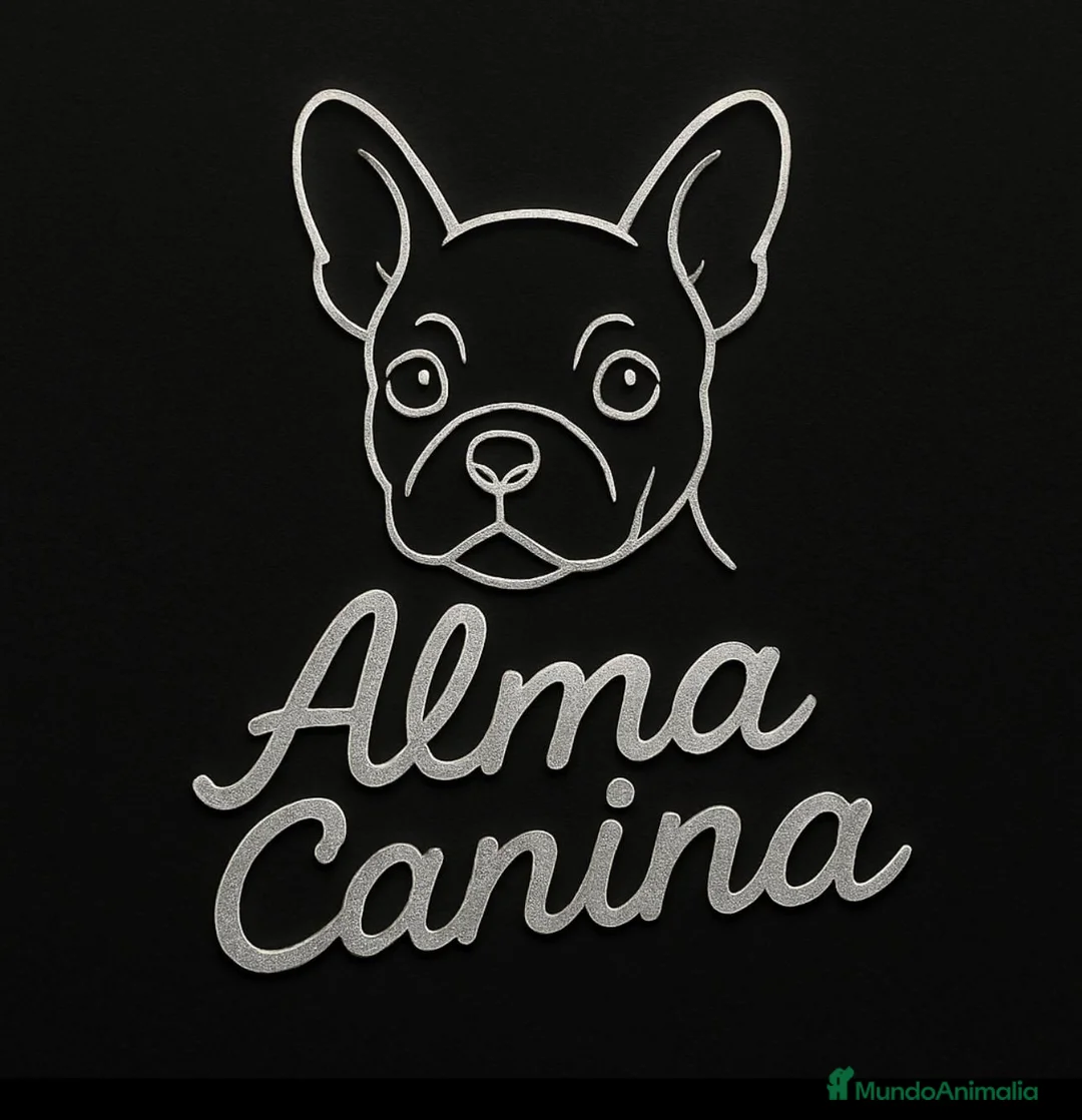 Imagen de galería {{count}}