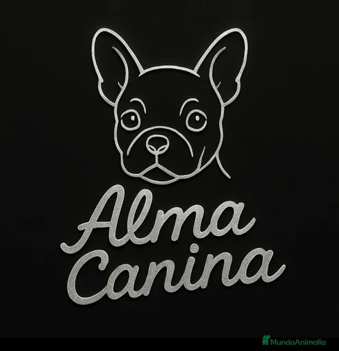 Imagen de galería {{count}}