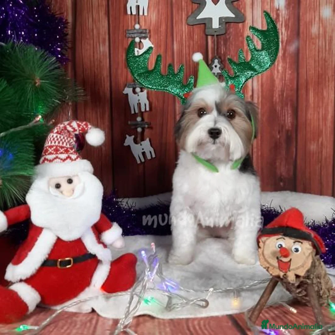 Imagen de galería {{count}}