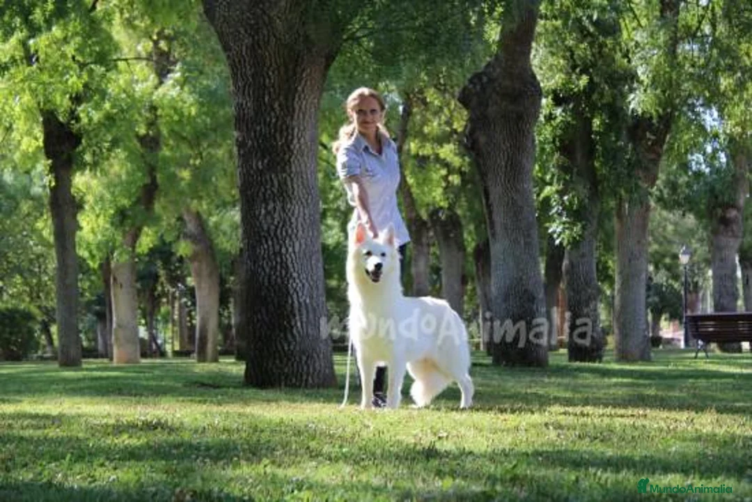 Imagen de galería {{count}}