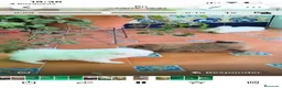 Pomerania perros en venta: Lulu pomerania  - Anuncio 5