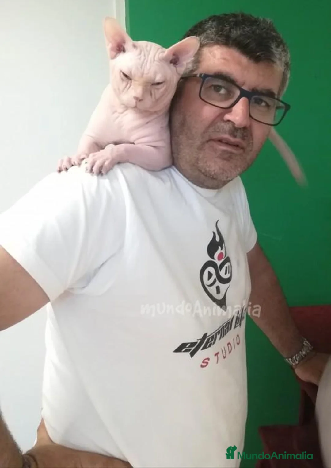 Imagen de galería {{count}}