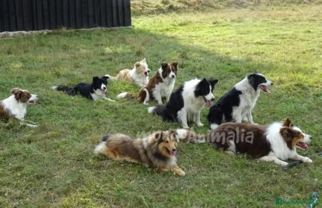 Imagen de galería {{count}}