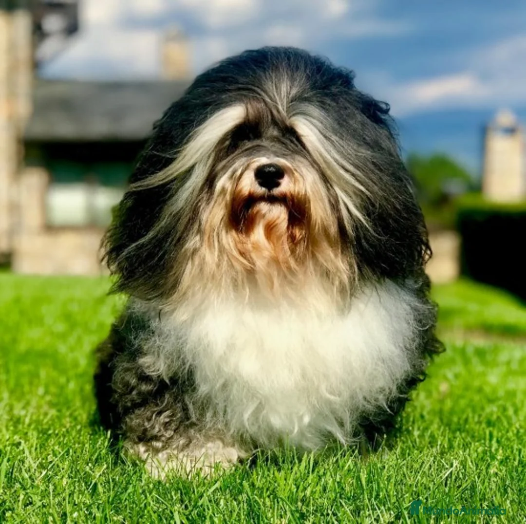 Imagen de galería {{count}}