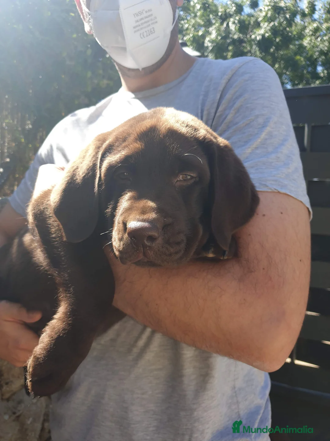 Imagen de galería {{count}}