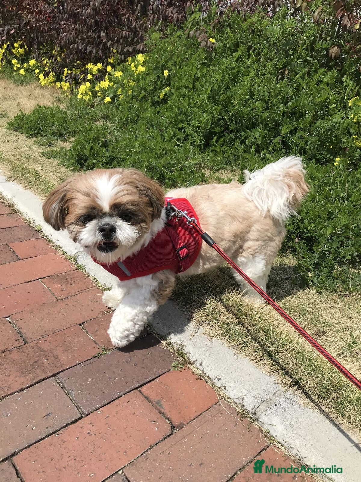 Bobby