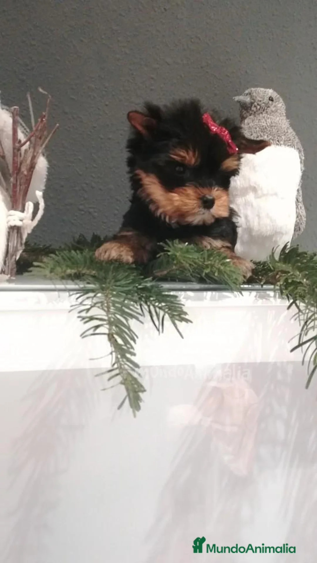 Imagen de galería {{count}}