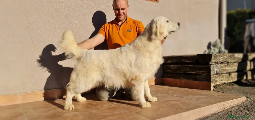 Imagen de galería {{count}}