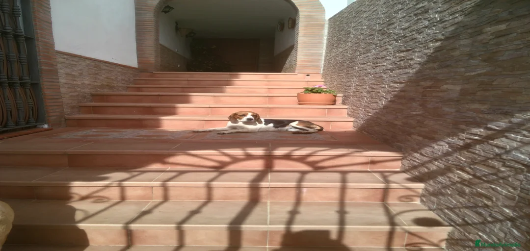 Imagen de galería {{count}}