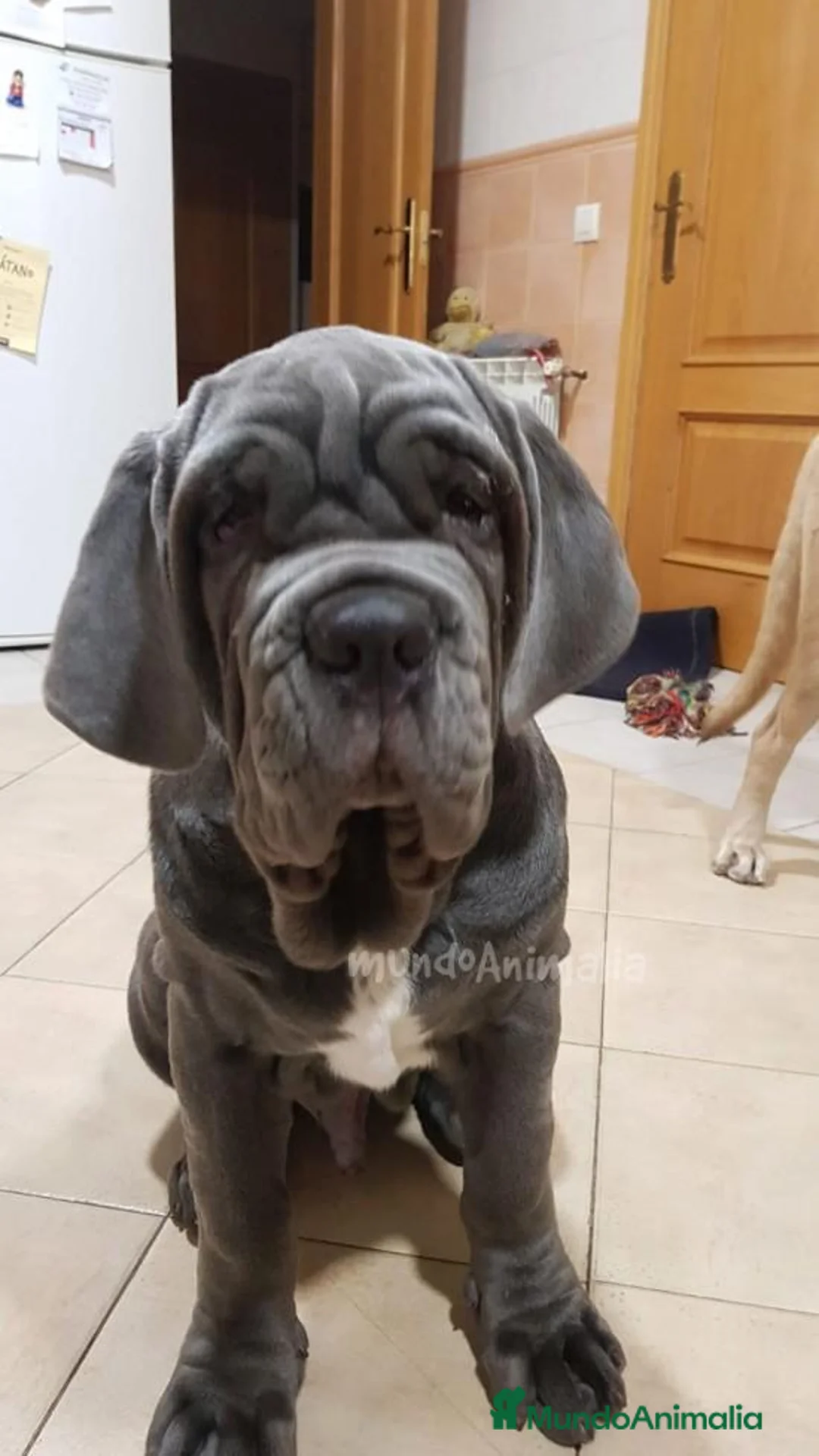 Imagen de galería {{count}}