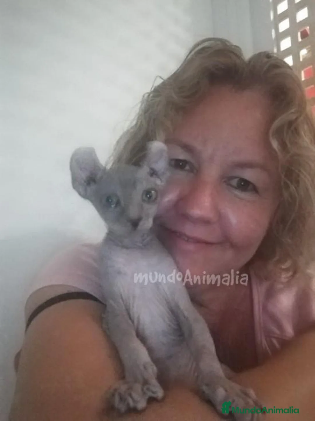 Imagen de galería {{count}}