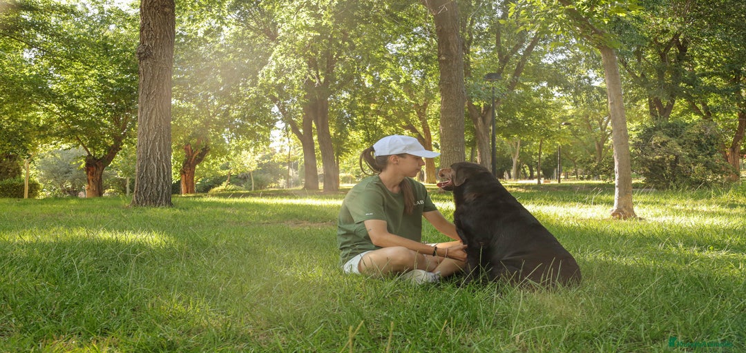 Imagen de galería {{count}}