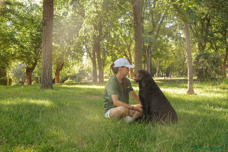 Imagen de galería {{count}}