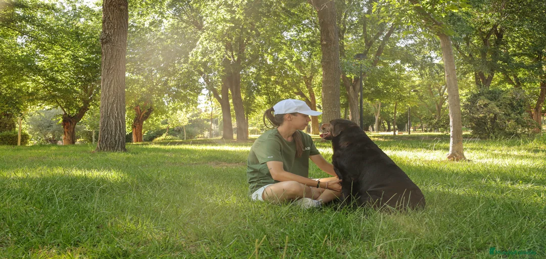 Imagen de galería {{count}}