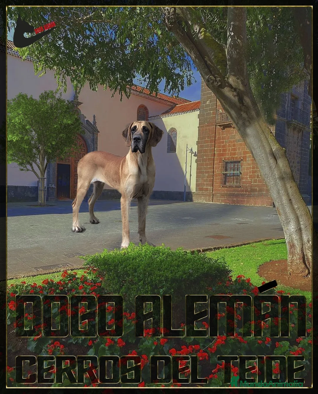 Imagen de galería {{count}}