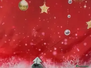 Pomerania perros POMERANIA LULÚ - Anuncio 24