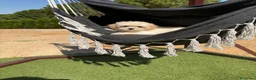 Maltipoo perros en venta: Maltipoo hembra toy con toda la vacunación .  - Anuncio 6
